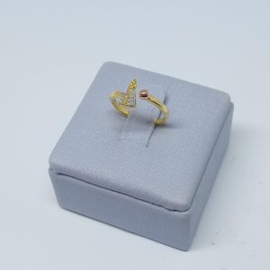 ANEL REG. N.SRA.APAR. C/ RHODIUM BANHO DOURADO