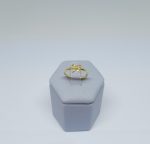 ANEL INFANTIL LACO BANHO DOURADO