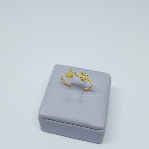 ANEL N.SRA. APAR. C CORACAO BANHO DOURADO